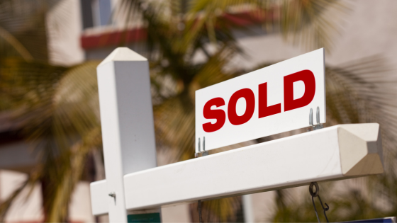 From Solo Agent to Team: How the Right Platform Scales With You | Delta Media Group